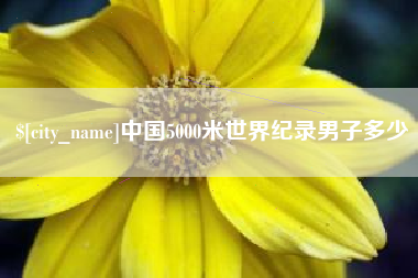桐乡中国5000米世界纪录男子多少
