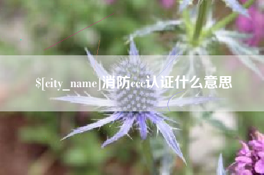 桐乡消防ccc认证什么意思