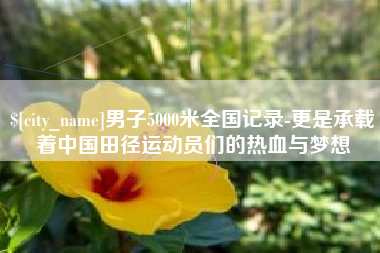 桐乡男子5000米全国记录-更是承载着中国田径运动员们的热血与梦想