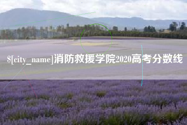 桐乡消防救援学院2020高考分数线