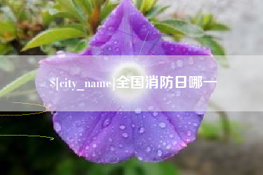 桐乡全国消防日哪一
