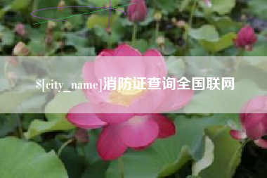 桐乡消防证查询全国联网