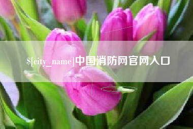 桐乡中国消防网官网入口