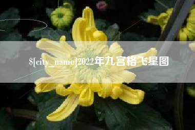 桐乡2022年九宫格飞星图