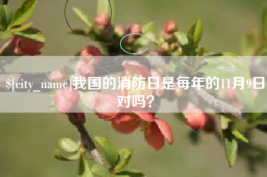 桐乡我国的消防日是每年的11月9日对吗？