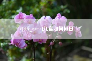 桐乡九宫如何排日