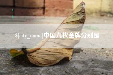 桐乡中国九枚金牌分别是