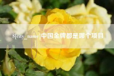 桐乡中国金牌都是哪个项目