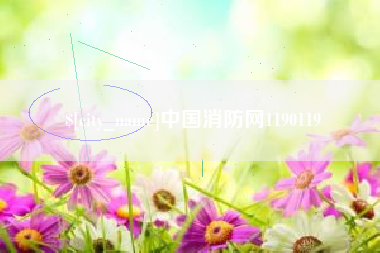 桐乡中国消防网1190119