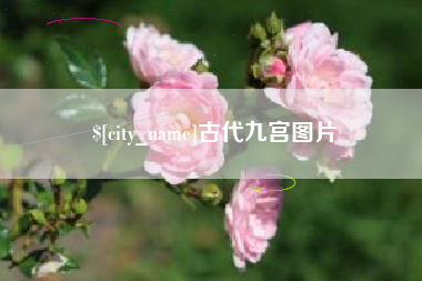 桐乡古代九宫图片