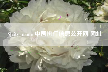 桐乡中国执行信息公开网 网址