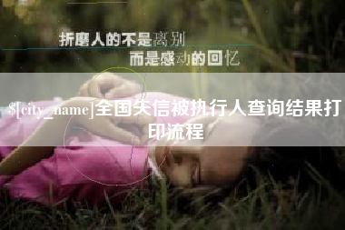 桐乡全国失信被执行人查询结果打印流程