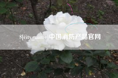 桐乡中国消防产品官网