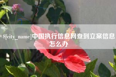 桐乡中国执行信息网查到立案信息怎么办