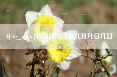 桐乡我国消防日是几月几日几日