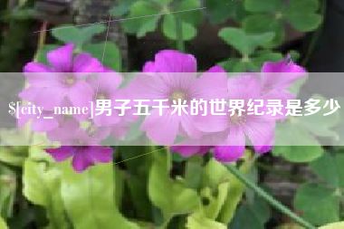 桐乡男子五千米的世界纪录是多少