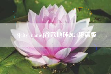 桐乡谷歌地球2024超清版