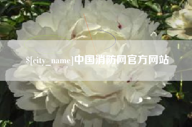 桐乡中国消防网官方网站