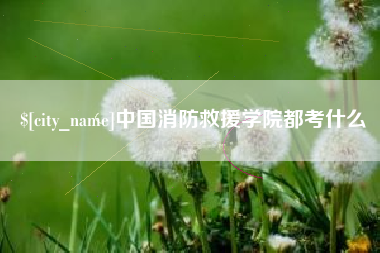 桐乡中国消防救援学院都考什么