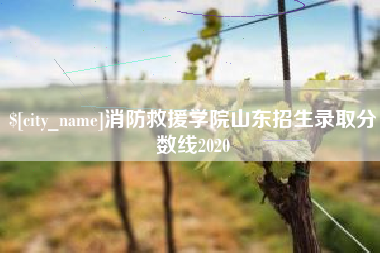 桐乡消防救援学院山东招生录取分数线2020