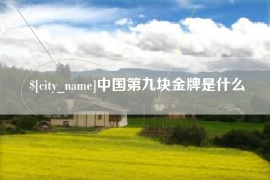 桐乡中国第九块金牌是什么