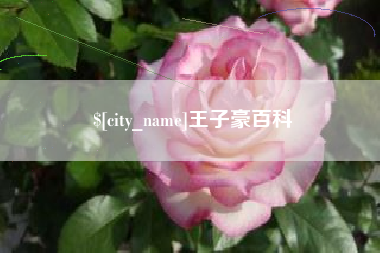 桐乡王子豪百科