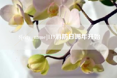 桐乡119消防日哪年开始