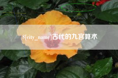 桐乡古代的九宫算术