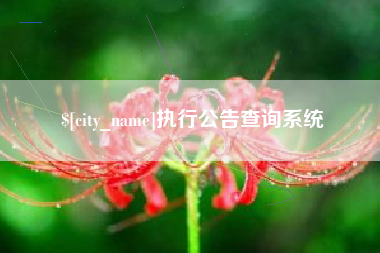 桐乡执行公告查询系统