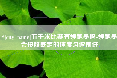 桐乡五千米比赛有领跑员吗-领跑员会按照既定的速度匀速前进