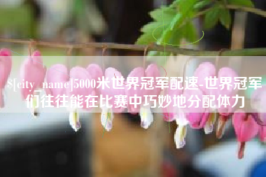 桐乡5000米世界冠军配速-世界冠军们往往能在比赛中巧妙地分配体力