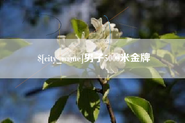 桐乡男子5000米金牌