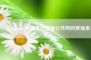 桐乡中国执行信息公开网的查询系统