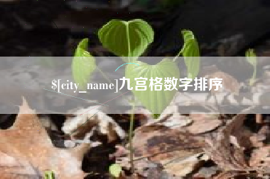 桐乡九宫格数字排序