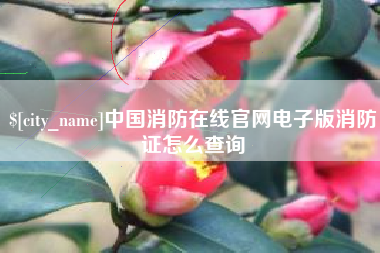 桐乡中国消防在线官网电子版消防证怎么查询