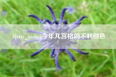 桐乡今年九宫格的不利颜色