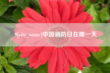桐乡中国消防日在哪一天
