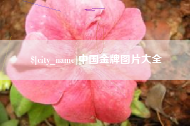 桐乡中国金牌图片大全