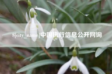 桐乡中国执行信息公开网询