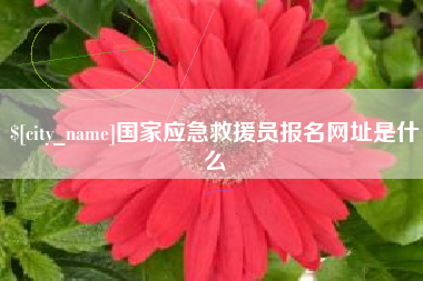 桐乡国家应急救援员报名网址是什么
