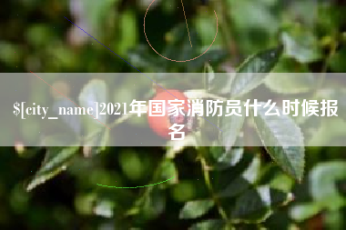 桐乡2021年国家消防员什么时候报名