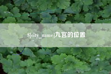 桐乡九宫的位置
