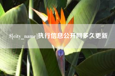 桐乡执行信息公开网多久更新