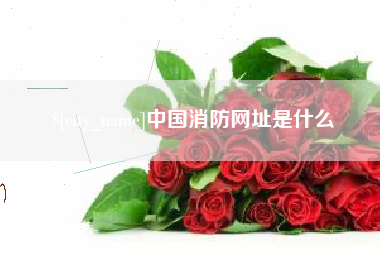 桐乡中国消防网址是什么