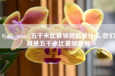 桐乡五千米比赛领跑员是什么-他们就是五千米比赛领跑员
