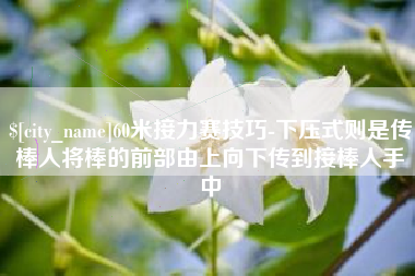 桐乡60米接力赛技巧-下压式则是传棒人将棒的前部由上向下传到接棒人手中