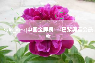 桐乡中国金牌榜2024巴黎奥运会最新
