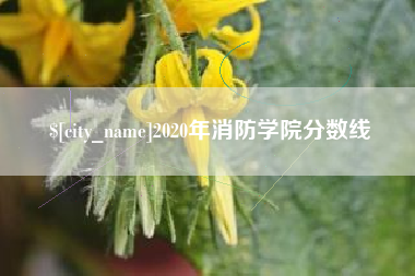 桐乡2020年消防学院分数线