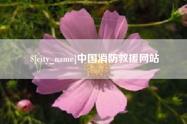桐乡中国消防救援网站