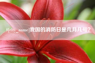 桐乡我国的消防日是几月几号？